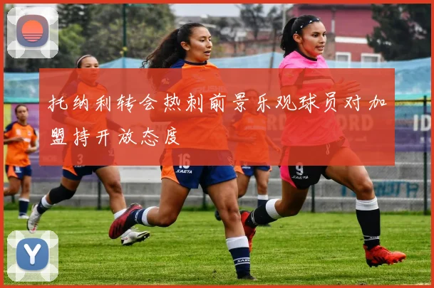 托纳利转会热刺前景乐观球员对加盟持开放态度