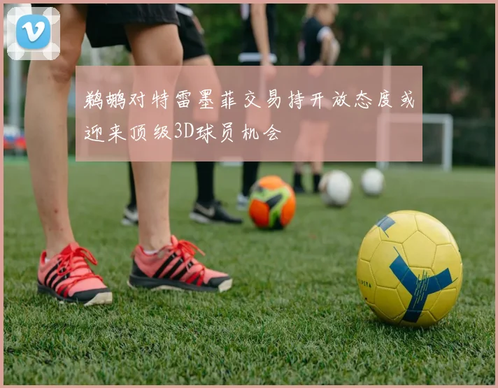 鹈鹕对特雷墨菲交易持开放态度或迎来顶级3D球员机会